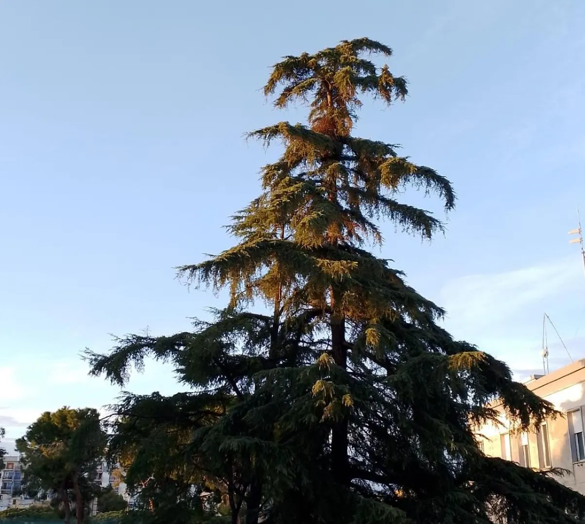 111 Guest House Bari Appartamento